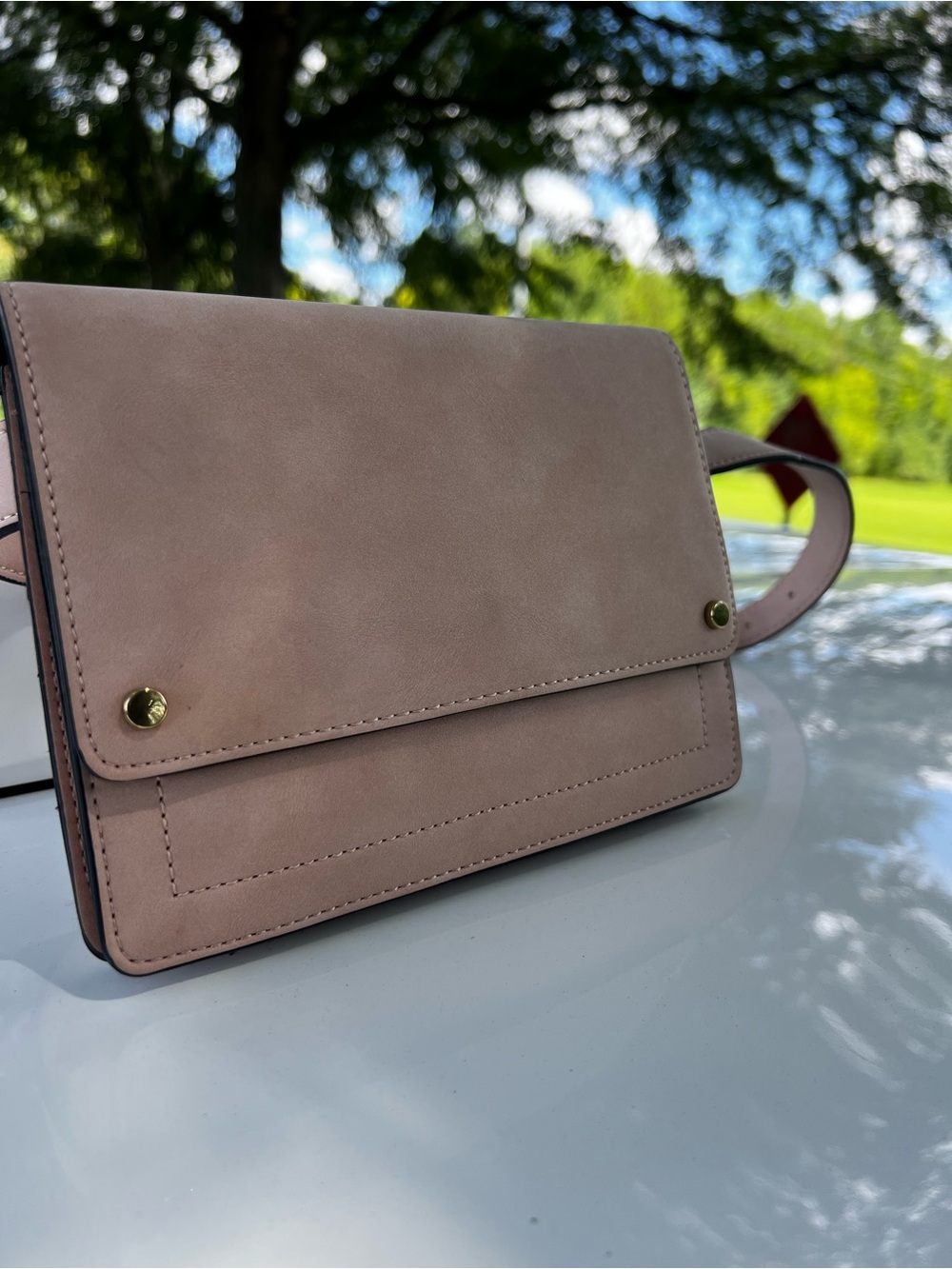 Express Blush Pink Crossbody Bag